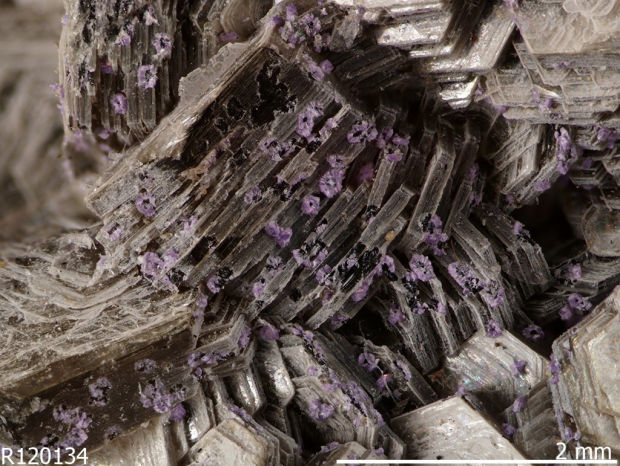 Arizona is new frontier in search for vital 'rare earth' elements